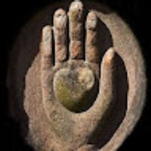 Meet your Posher, Suzanne